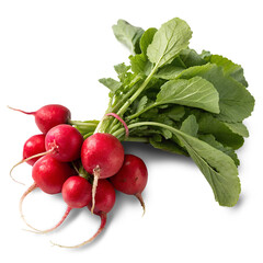 bunch of radishes isolated on transparent background