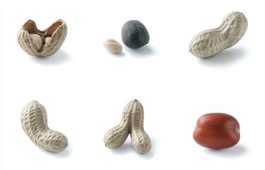 Variety of Nuts and Seeds on White Background for Culinary Use