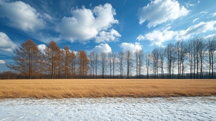 Serene landscape featuring a golden field under a blue sky with scattered clouds and distant trees