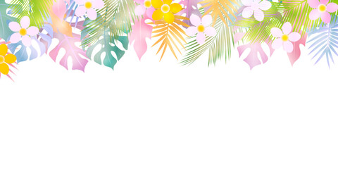 ヤシ　プルメリア　観葉植物　背景