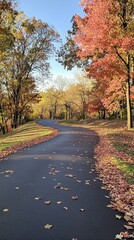 Serene Autumn Trail with Colorful Leaves in a Peaceful Setting