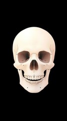 Fototapeta premium Realistic human skull illustration on a black background with detailed anatomical features
