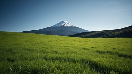 arafed mountain in the distance with a grassy field in front of it