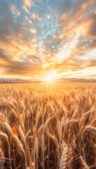 Obraz premium Aerial shot of a golden wheat field under a vivid orange sunset, with the silhouette of a windmill standing on the horizon