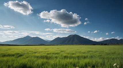 Fototapeta premium grassy field with mountains in the background and a blue sky