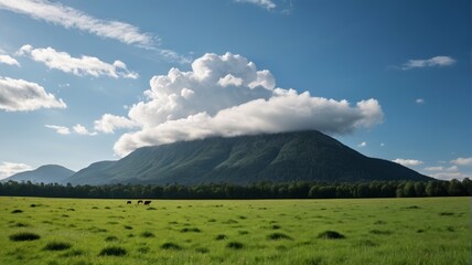 there is a large grassy field with a mountain in the background