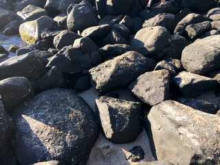 Volcanic Rocks on a Hawaiian Shoreline