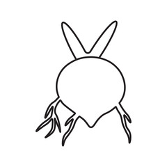 Storage Roots line icon