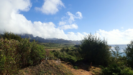 Hawaiian Coastal Wilderness – Mountains, Meadows, and the Ocean