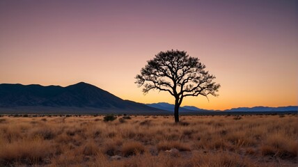 there is a lone tree in the middle of a desert