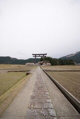 Naklejka premium 鳥居に向かって伸びる一本の道