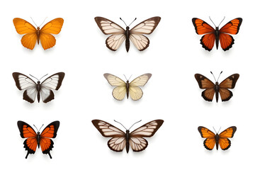 Collection of Colorful Butterflies on White Background