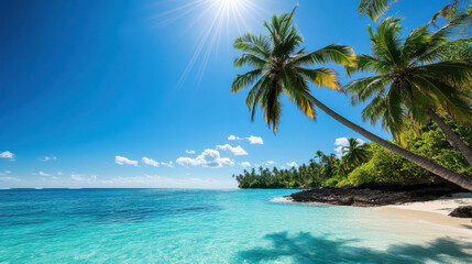 tropical island with palm trees and clear blue water