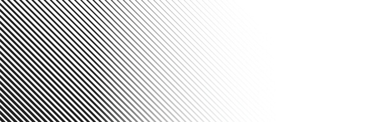 Obraz premium Abstract white background from lines. Wavy line drawing . Design element. Vector illustration .
