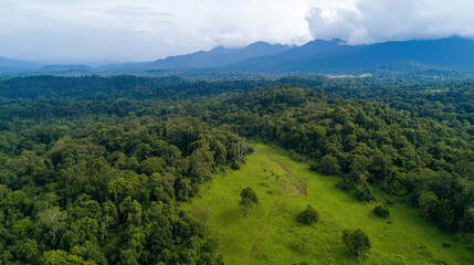 lush green landscape with mountains in background