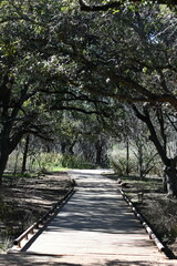 path in the park