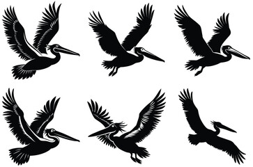 Fototapeta premium Pelican bird silhouettes, Flying pelican flight silhouette vector set