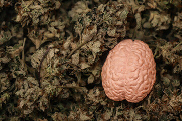 Brain seen from above on a background of cannabis grass. Concept of mental problem, drug abuse, ganja addiction
