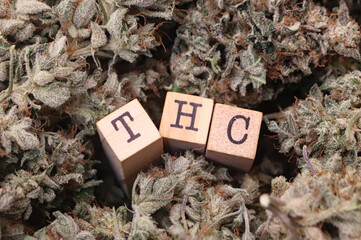 Word thc isolated around hemp flowers. 