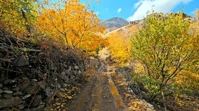 Autumn in Hawraman Takht is a magical symphony of colors. The golden leaves dance with the wind, covering the ground like a beautiful carpet of nature.