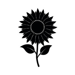 sunflower vector illustration