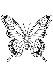 butterfly black and white animal coloring book