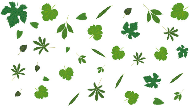 Abstract green leaves spring, summer background with different shapes leaves flying, falling. Overlay, banner, cover. Realistic vector illustration on white background.