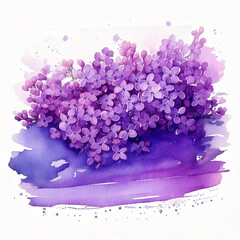 Horizontal Watercolor stroke of purple color with stains and lilac flowers on white background