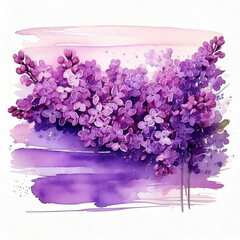 Horizontal Watercolor stroke of purple color with stains and lilac flowers on white background