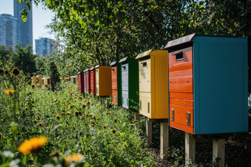 Naklejka premium Urban beehives producing anti-pollutant honey in polluted cities