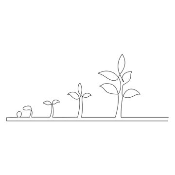 recommend clip art: Growth Stages of a Plant Minimalist Line Art