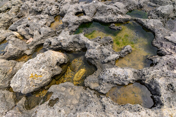 rocky coast of the sea