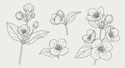 Fototapeta premium vector set of flowers, vintage, flowers, drawing, seamless, design, leaf, 
