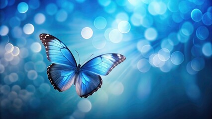Macro shot: a blue butterfly against a blue backdrop, illuminated by soft light circles.