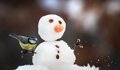 The fun tit bird and the snowman in the snow