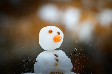 The fun snowman in the snow