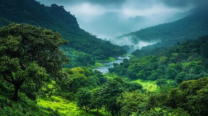 Lush Greenery of Karnataka's Majestic Hills