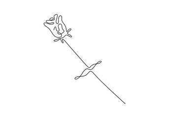 Continuous one line drawing of rose flower. Single line art rose. vector illustration