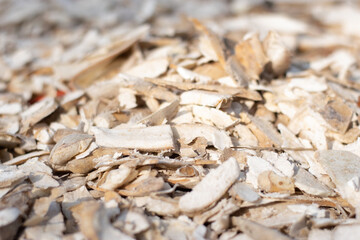 Dried cassava, dried cassava before selling