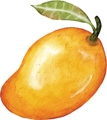 A stunning watercolor painting of a ripe golden mango with a fresh green leaf.