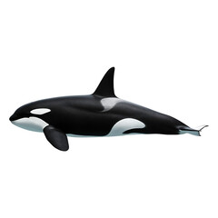 Ocean's Apex Predator in Silent Majesty