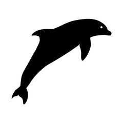 Fototapeta premium dolphin isolated on white background