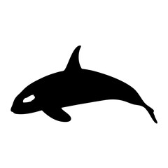 dolphin isolated on white background