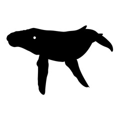 vector illustration of a silhouette of a whale