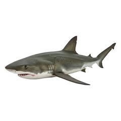 Obraz premium Ocean's Gray Hunter: Silent Predator of the Depths