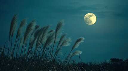 Fototapeta premium Serene Night: Pampas Grass Underneath the Full Moon's Glow