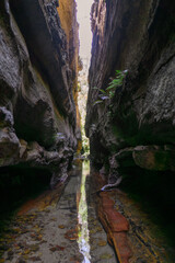 Crayfish creek canyon, blue mountains NP