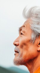 Contemporary Minimalist Close-up of Elderly Asian Mans Hair in Wind - Scenic Nature Backdrop for Tranquil Wellness Marketing and Mindful Travel Promotions
