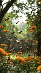 Fototapeta premium Bees pollinating marigold flowers in a garden