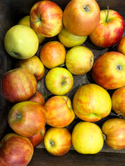 Freshly harvested apples arranged in a wooden crate during autumn season at a local farm market